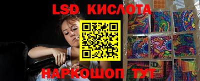 apvp Ярославль