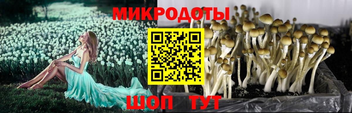 Псилоцибиновые грибы прущие грибы  Вход с VPN  Кизилюрт 